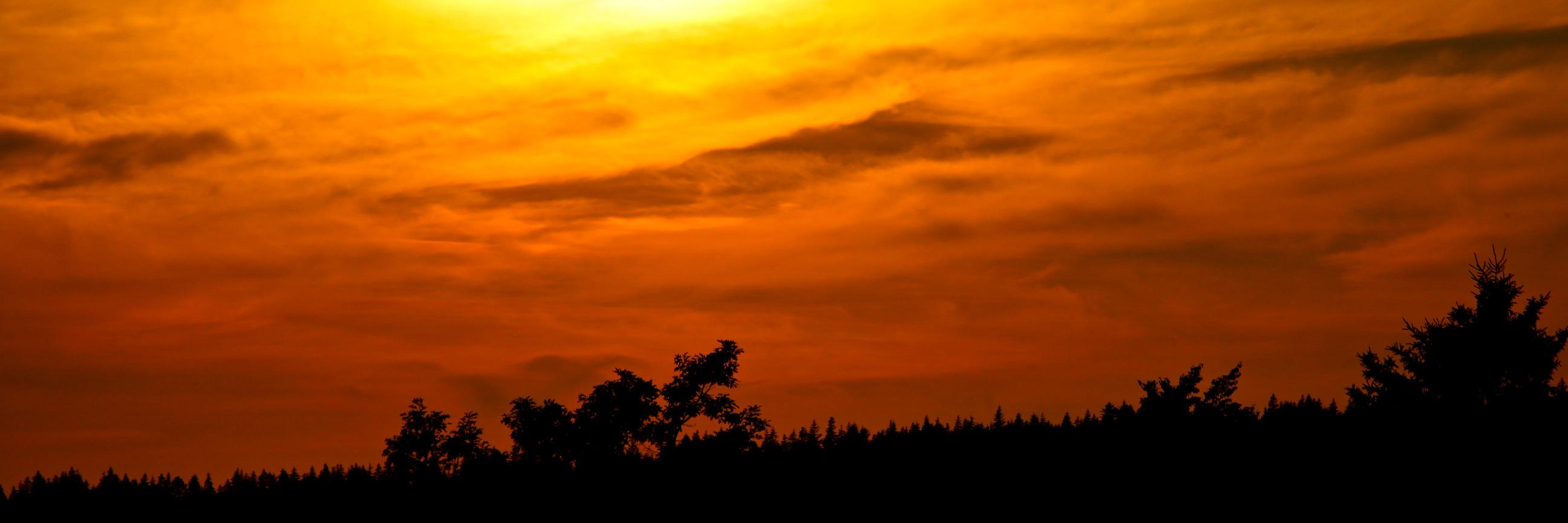 VictoriaM_1981's profile banner image