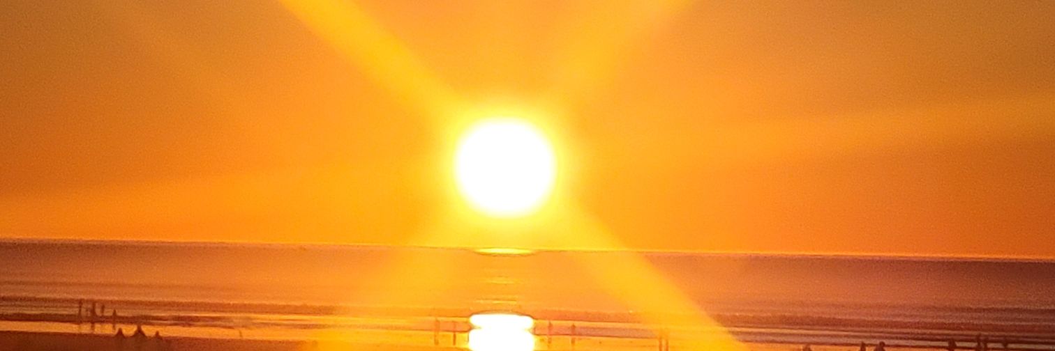 pidnroo's profile banner image