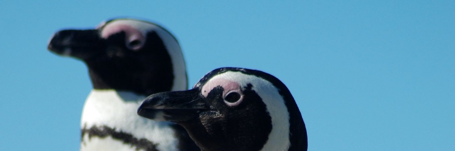 RCALLRCALL's profile banner image
