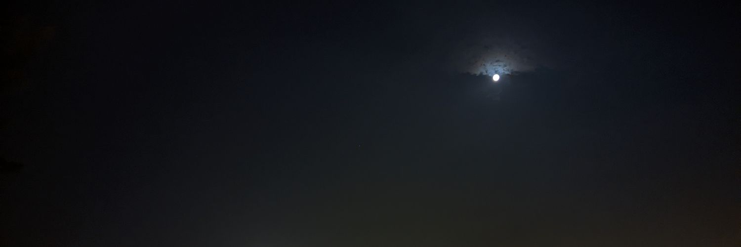 vivaldisummer's profile banner image