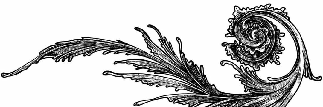 aupher_'s profile banner image