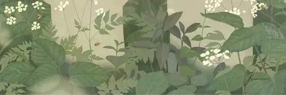 onlywongg's profile banner image