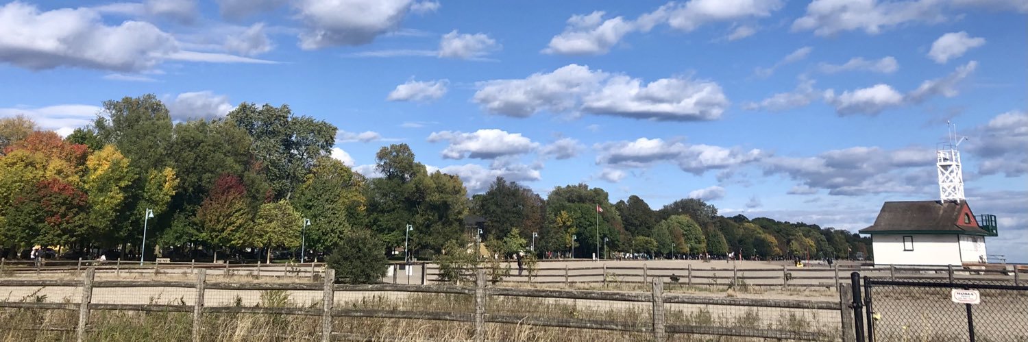 Lisa Frizzell banner