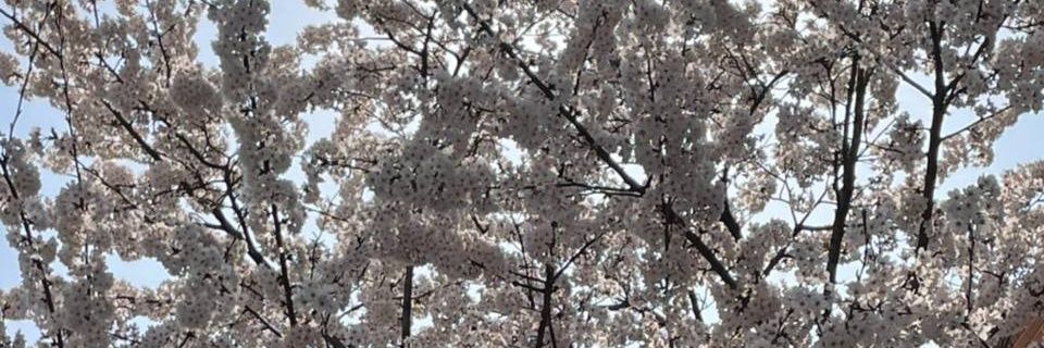 LeeW_514's profile banner image