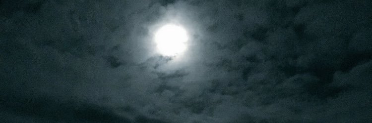 gookichi593's profile banner image