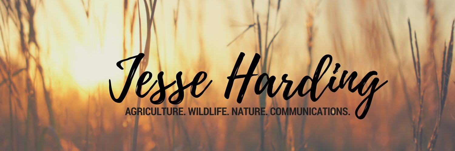 jessenharding's profile banner image