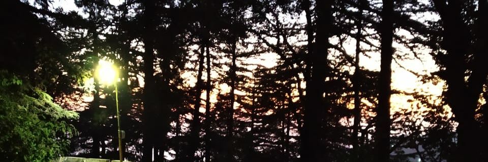 Badnewss09's profile banner image