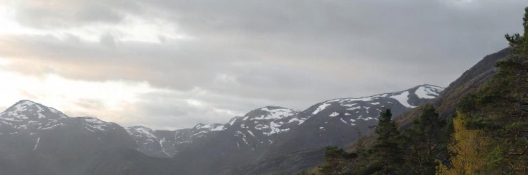 fyfone banner