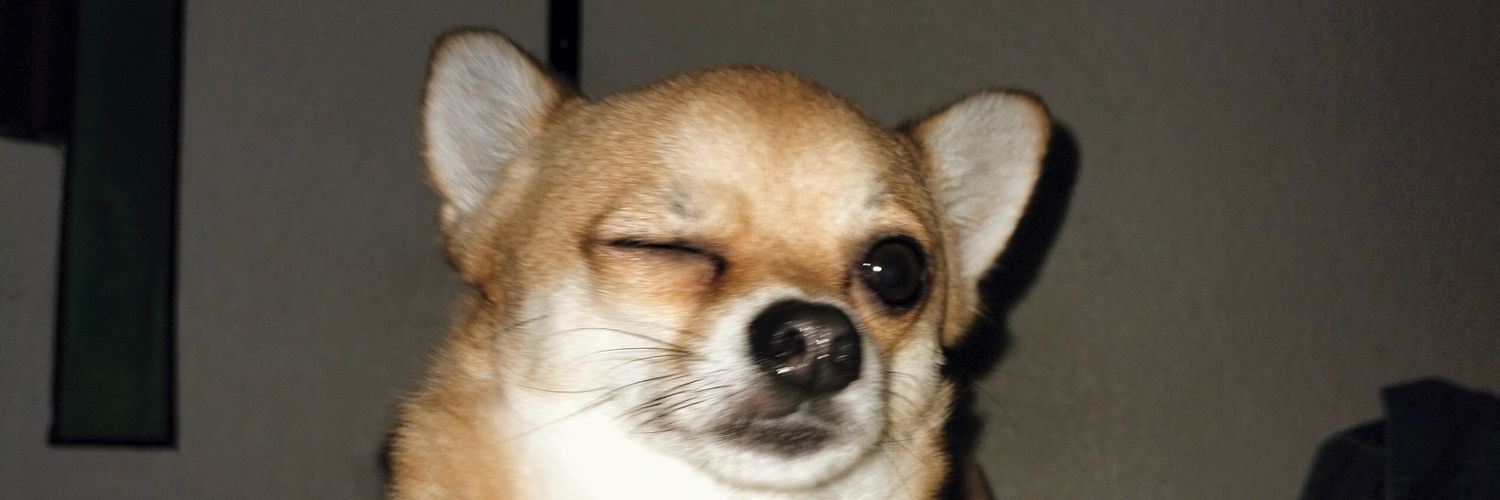 faithemeren_'s profile banner image