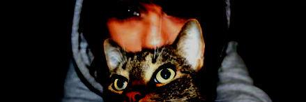 frontalding's profile banner image