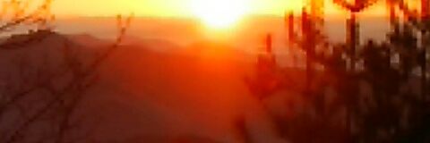 yymr7181's profile banner image