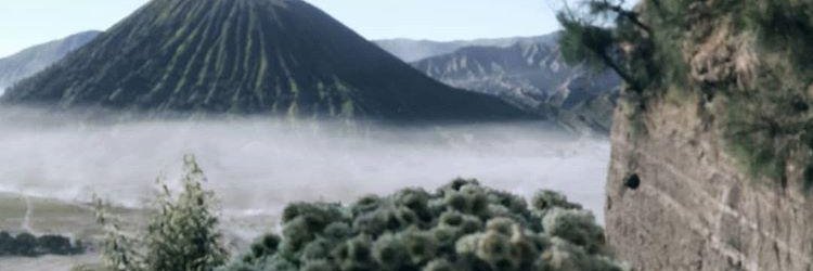ZulfanabilaF's profile banner image
