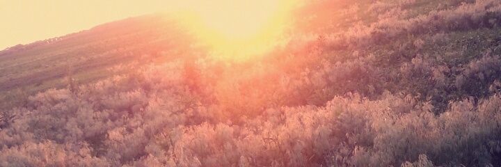 caileyann5's profile banner image
