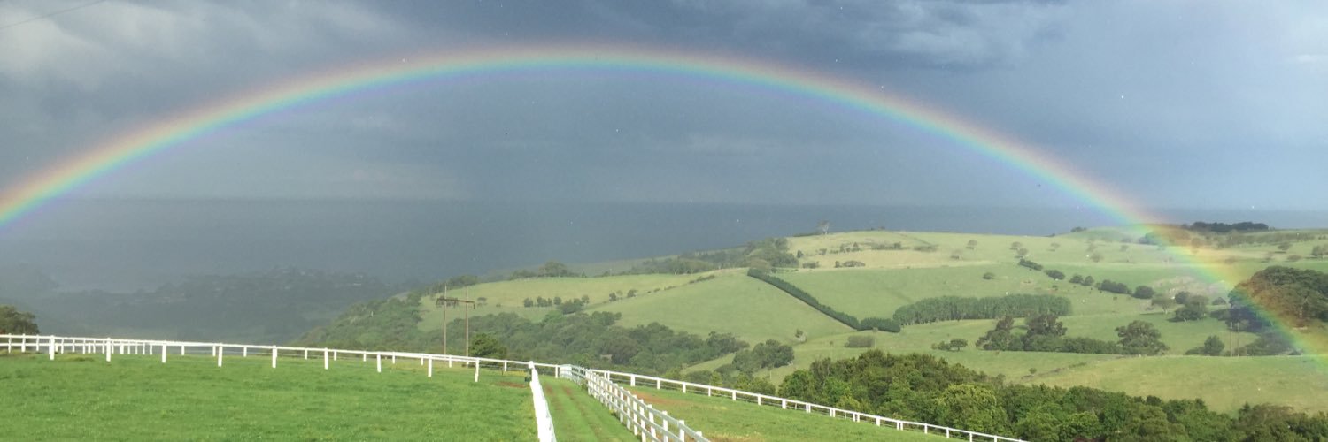 Matthew Sandblom banner