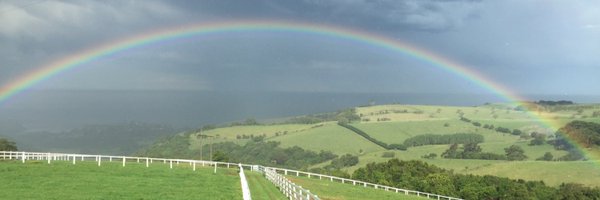 MatthewSandblom Profile Banner