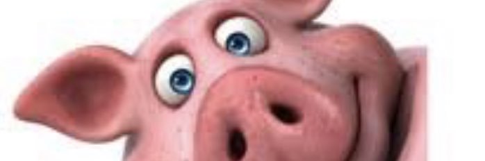 PEPOPA009's profile banner image