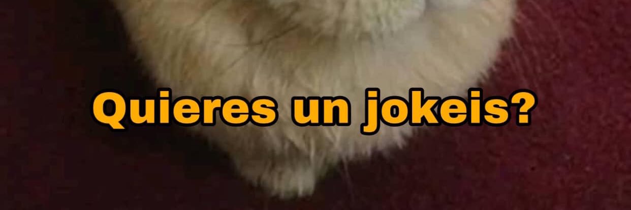 Tequilord's profile banner image