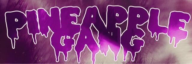 pineapplexgang's profile banner image