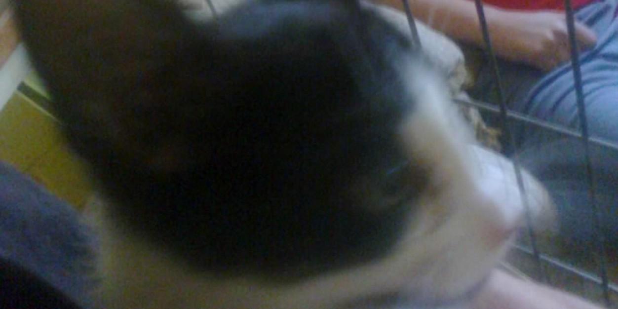 zerofth's profile banner image