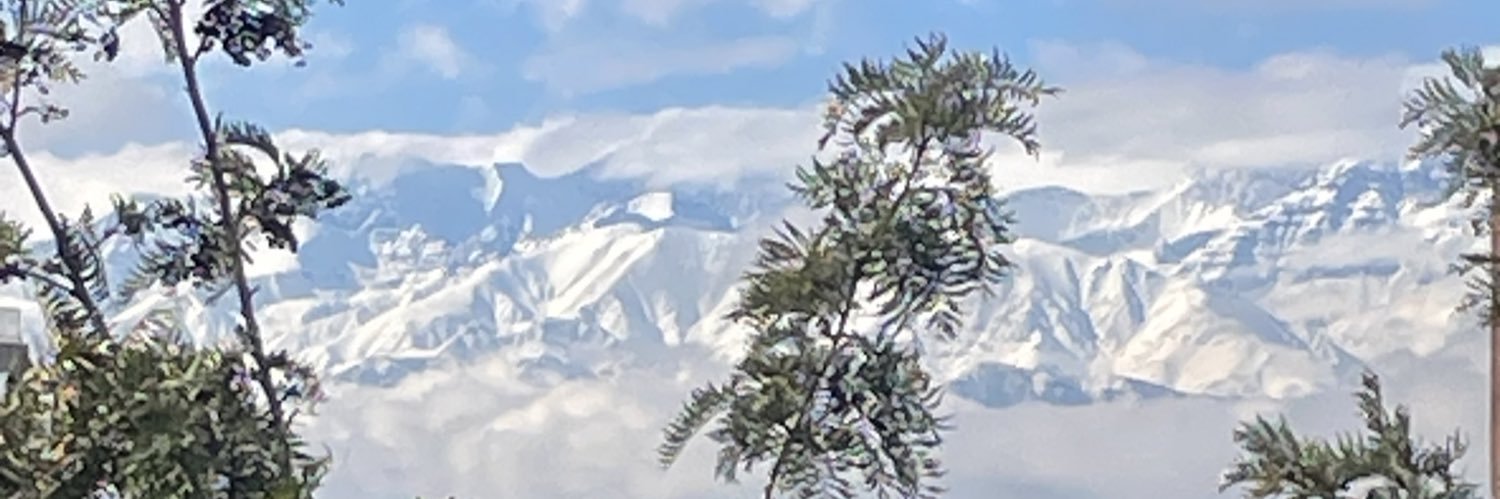 lu_ipha's profile banner image