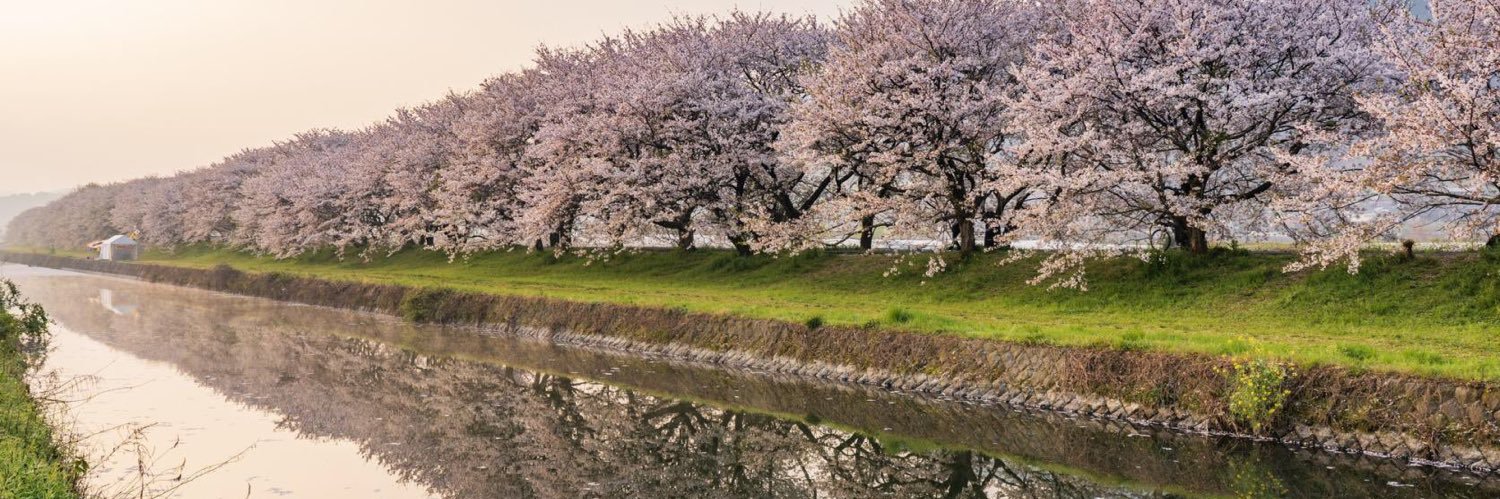 소비러 만화사랑 banner