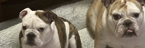 dresel85 Profile Banner