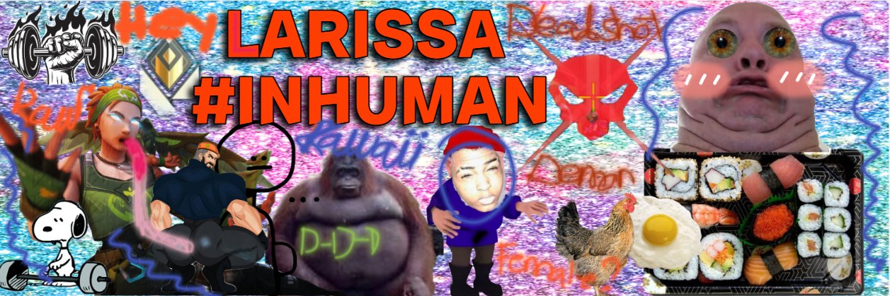 Lars banner