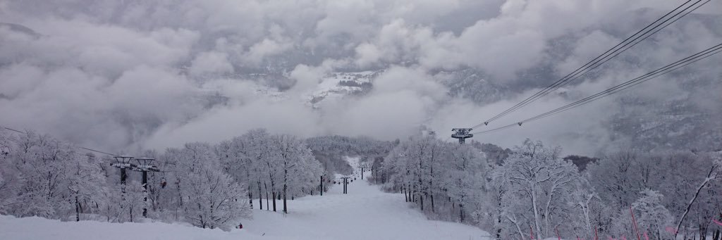 nemo_arm's profile banner image