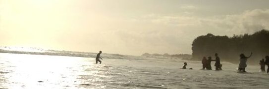 farelemral's profile banner image