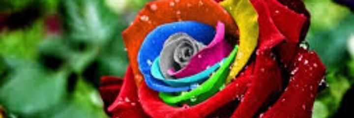 mobinnoori22's profile banner image