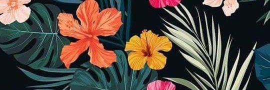 Joselin_Mtz1998's profile banner image