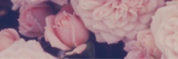 atlantajs Profile Banner