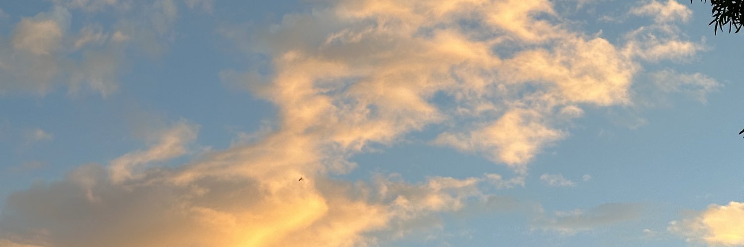 Tereeitzel's profile banner image