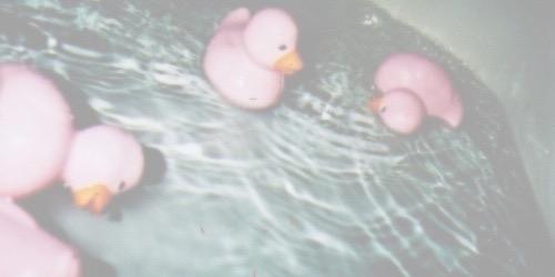 Paigerpgsbr's profile banner image