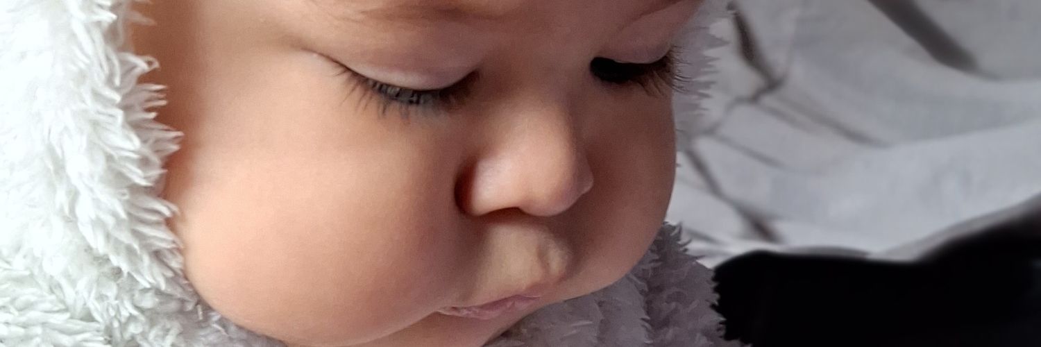florramooos's profile banner image