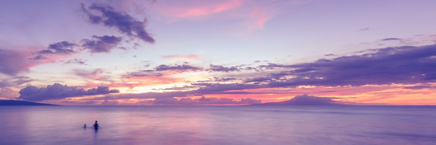 vickytehvicky's profile banner image