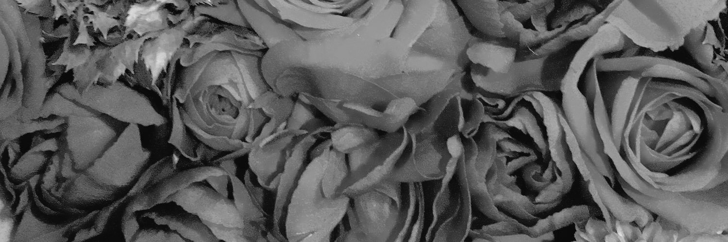 cherry___59's profile banner image