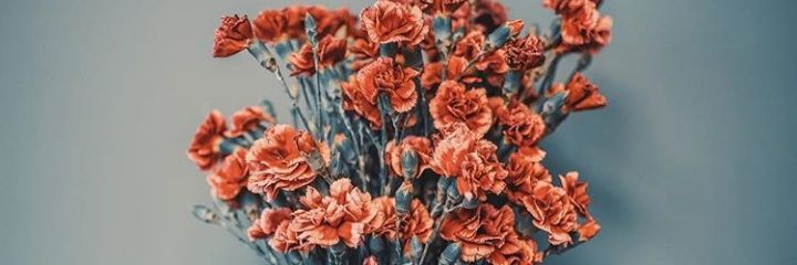 hhusraa's profile banner image