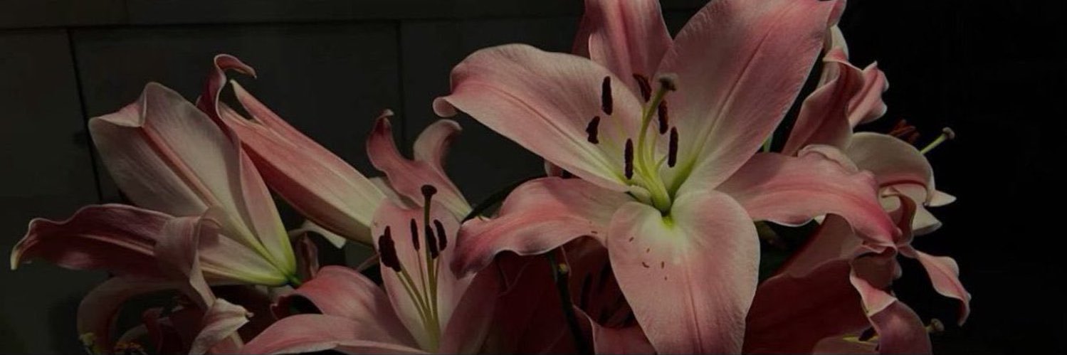 r106w's profile banner image