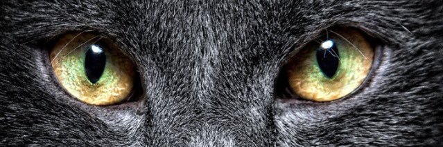 clay0001's profile banner image
