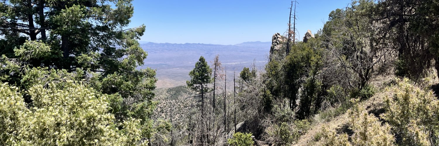 Jimmy Johnson banner