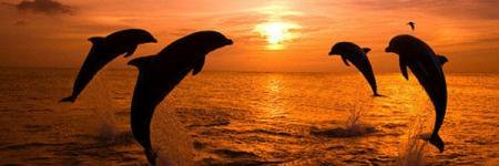 One1Nee's profile banner image