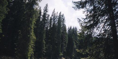 JacobRPGTMUS's profile banner image