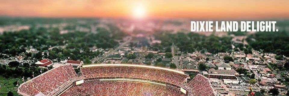 Donald Wadsworth 🥋 banner