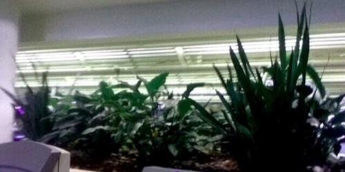 kyliebasgdr's profile banner image