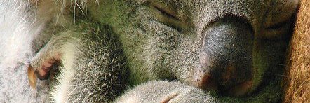 AmyMGElliott's profile banner image