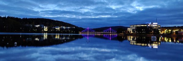 TuijaTammelin Profile Banner