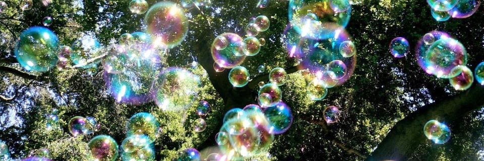 the_kimtaylor's profile banner image