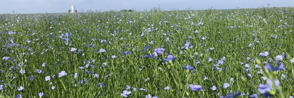 FabienHenocque Profile Banner