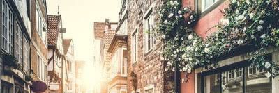 とらこ banner